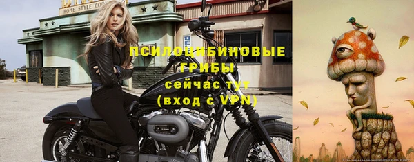 ALPHA PVP Арсеньев