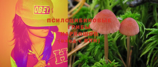 дурь Баксан