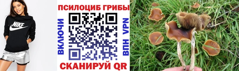 это какой сайт  Пудож  Псилоцибиновые грибы Psilocybe 